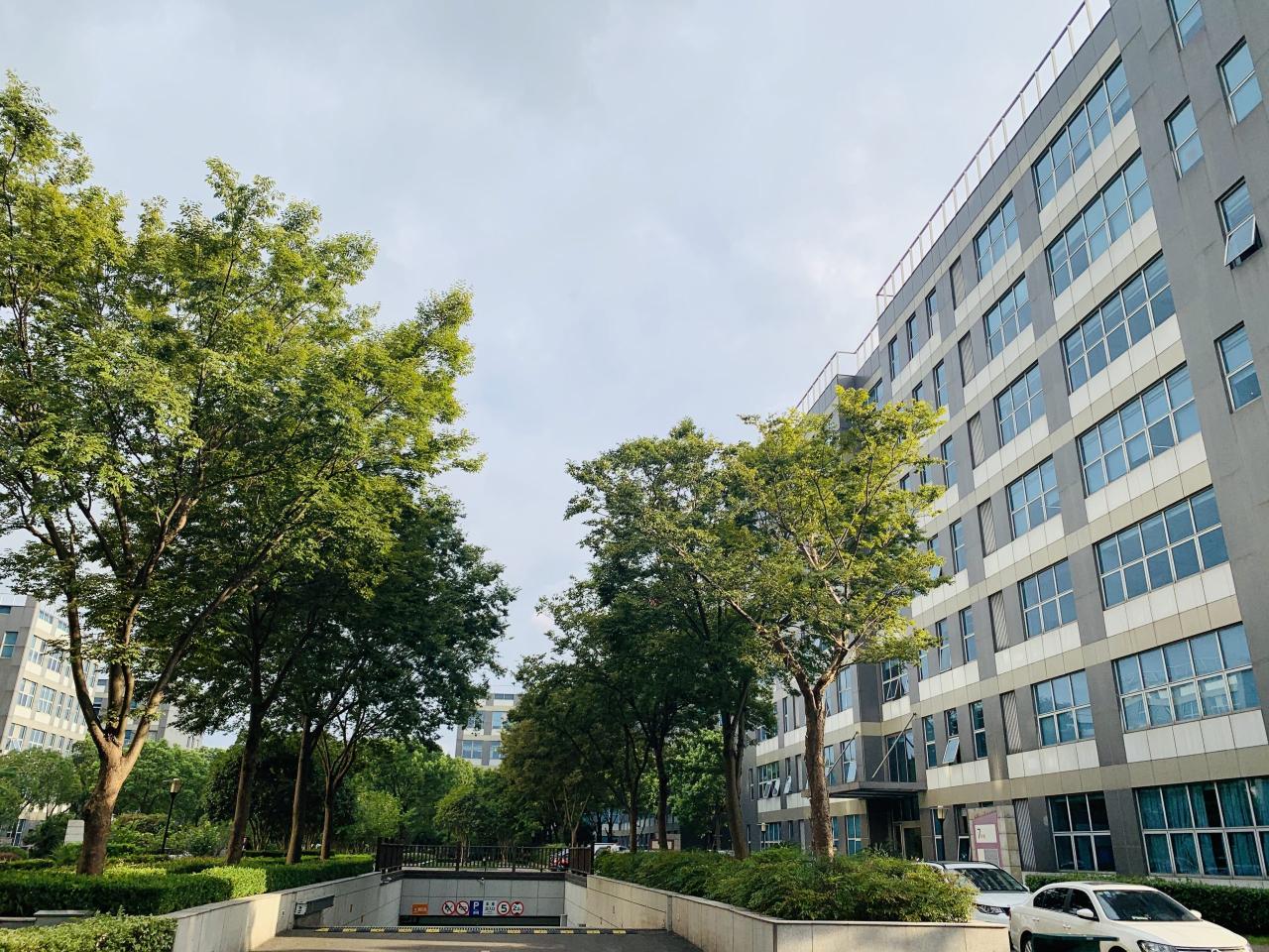 上海精装修办公室周浦上海国际医学园区(康新公路)项目信息
